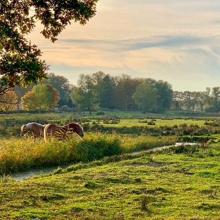 Ferienwohnungen Klein Kapelle 깅슈트 외부 사진