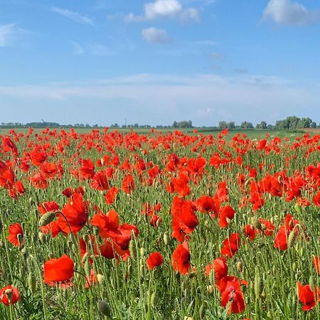 Ferienwohnungen Klein Kapelle 깅슈트 외부 사진