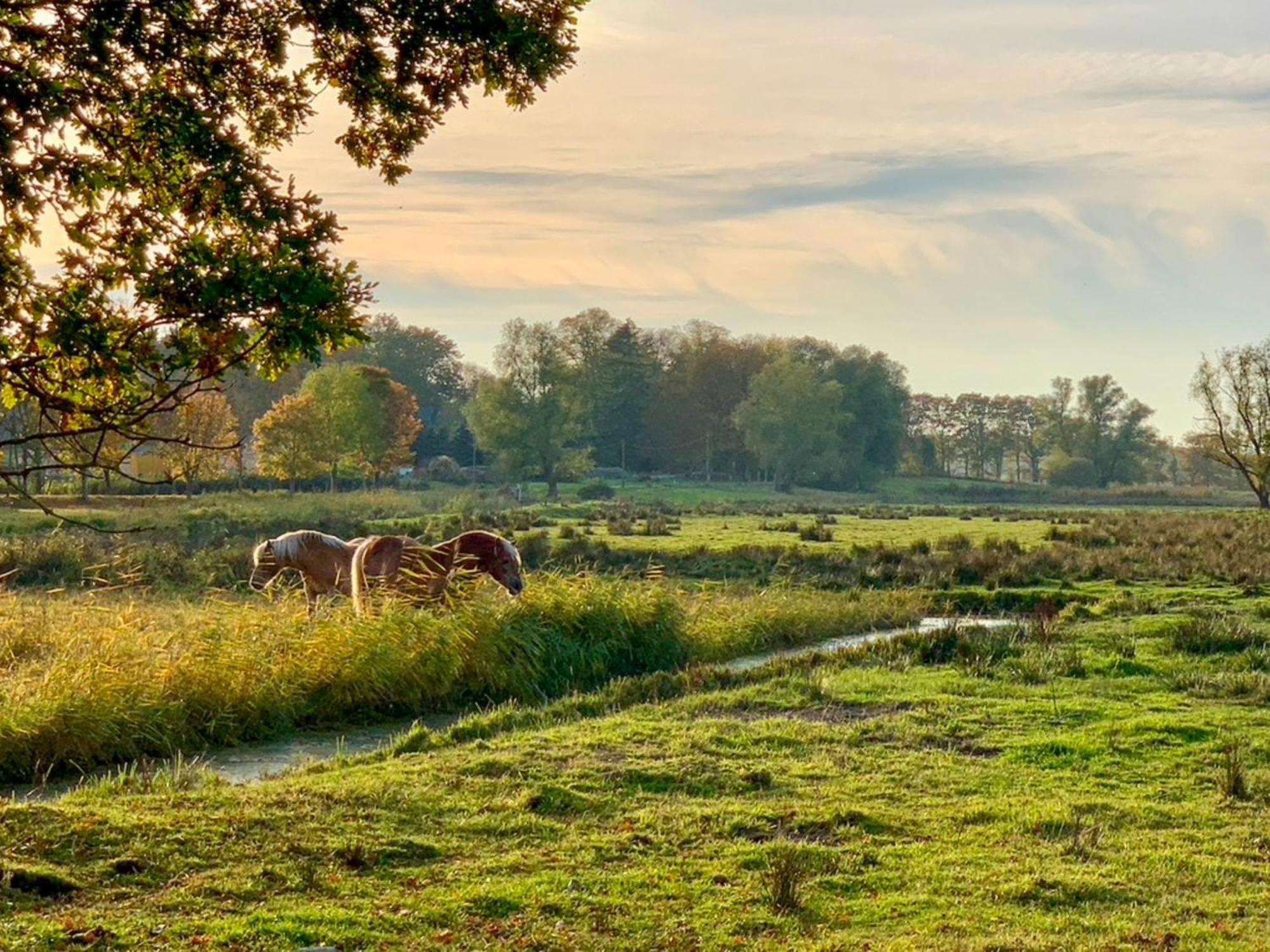 Ferienwohnungen Klein Kapelle 깅슈트 외부 사진