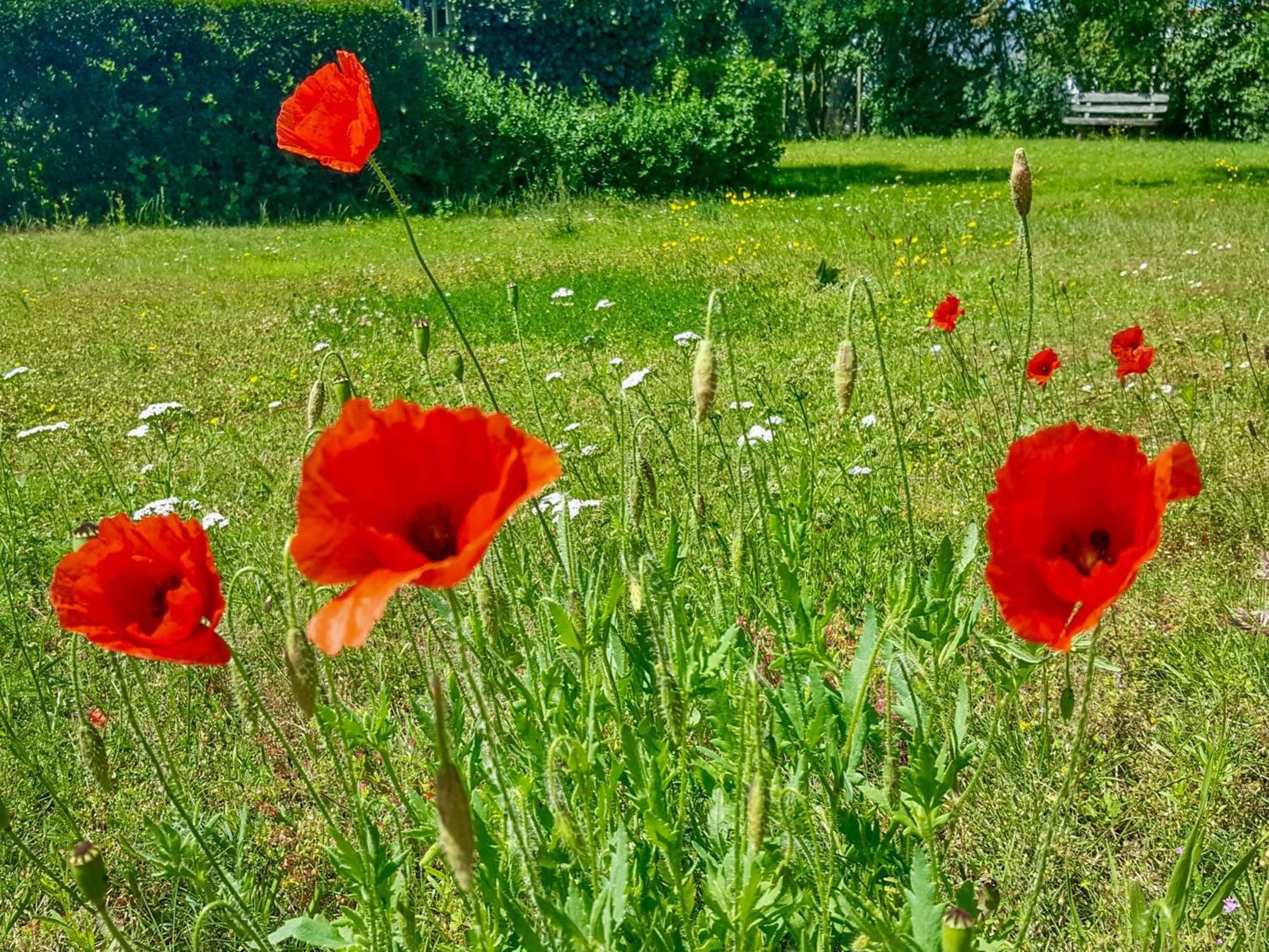 Ferienwohnungen Klein Kapelle 깅슈트 외부 사진